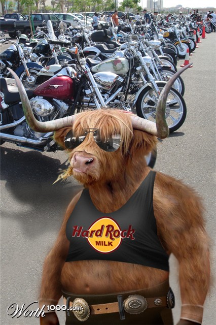 Photoshop Design by fredreis