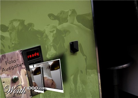 Photoshop Design by doerschi
