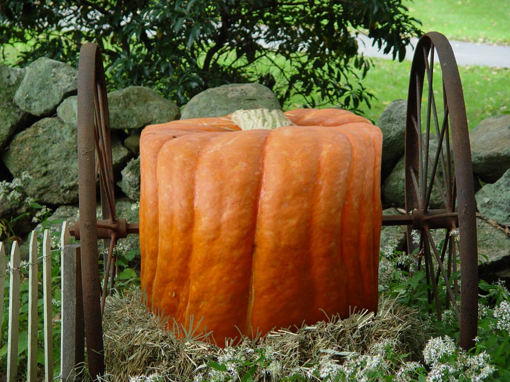 Diseño de Photoshop por Lsgenie para DesignCrowd (Community Contests) | Diseño #9008122