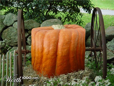 Photoshop Design by Lsgenie