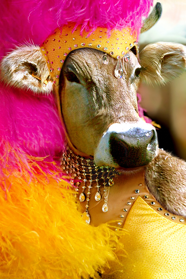 Photoshop Design by Koosricardo for DesignCrowd (Community Contests) | Design #9002533