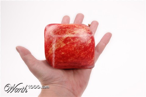 Photoshop Design by Qofcheez