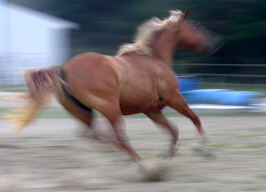 Photography by donzee for DesignCrowd (Community Contests) | Design #9003487