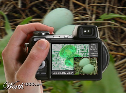 Photoshop Design by Lazure