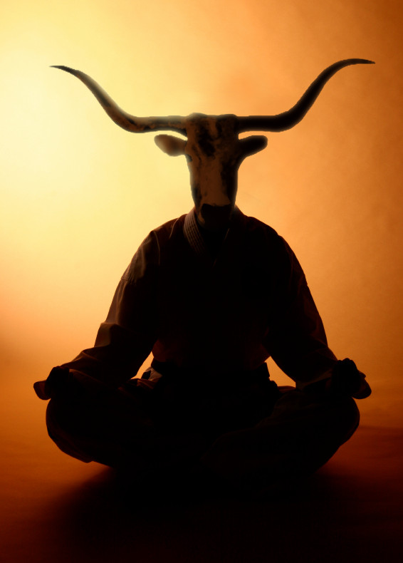 Diseño de Photoshop por Fissunix para DesignCrowd (Community Contests) | Diseño #9002607