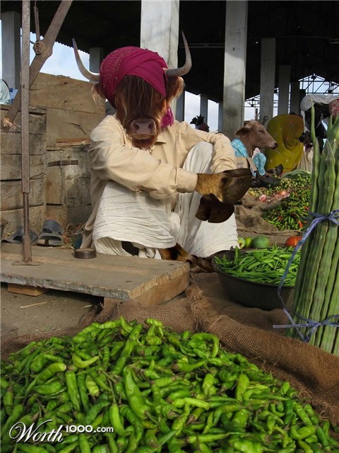 Photoshop Design by Rhopal