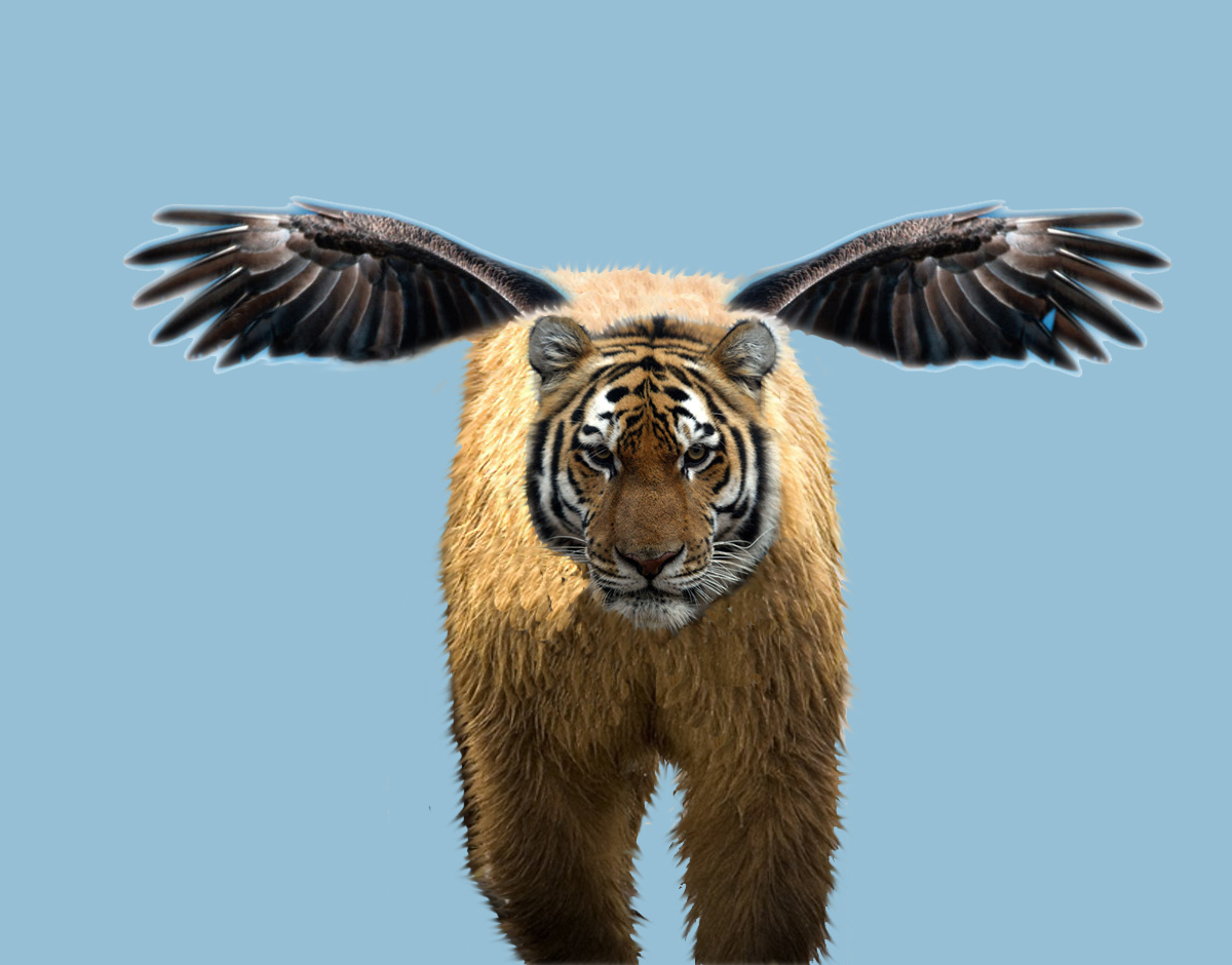 Diseño de Photoshop por snapdragony para DesignCrowd (Community Contests) | Diseño #9004315