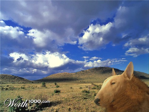 Photoshop Design by WGML15