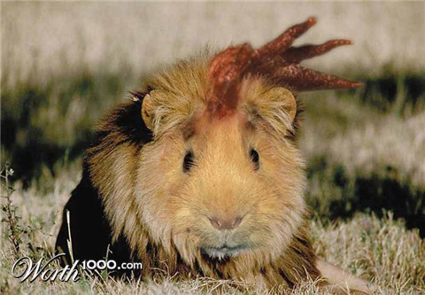 Photoshop Design by TrueAiR