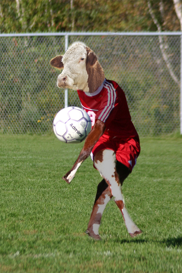 Design Photoshop par AliiXX pour DesignCrowd (Community Contests) | Design #9002595