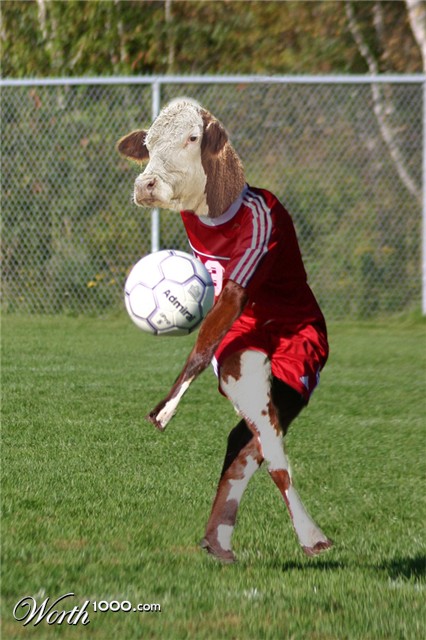 Photoshop Design by AliiXX