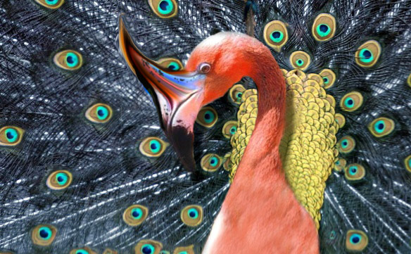 Photoshop Design by emily4real for DesignCrowd (Community Contests) | Design #9004322