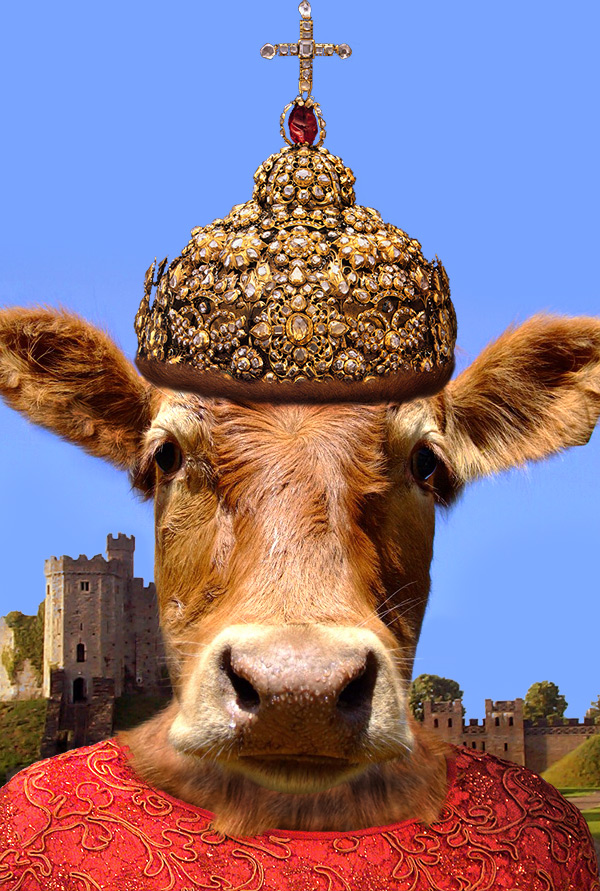 Photoshop-Design von cameon für DesignCrowd (Community Contests) | Design #9002568