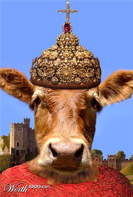 Photoshop Design by cameon