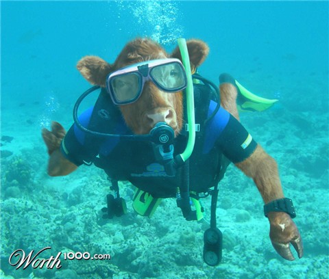 Photoshop Design by sugarcane