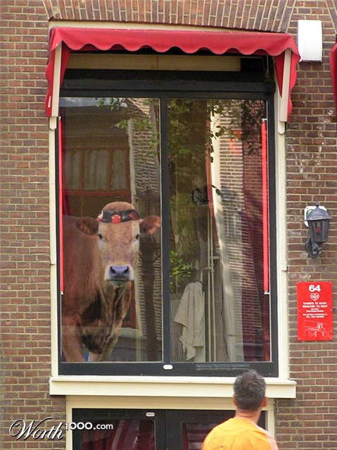Photoshop Design by Wolfert