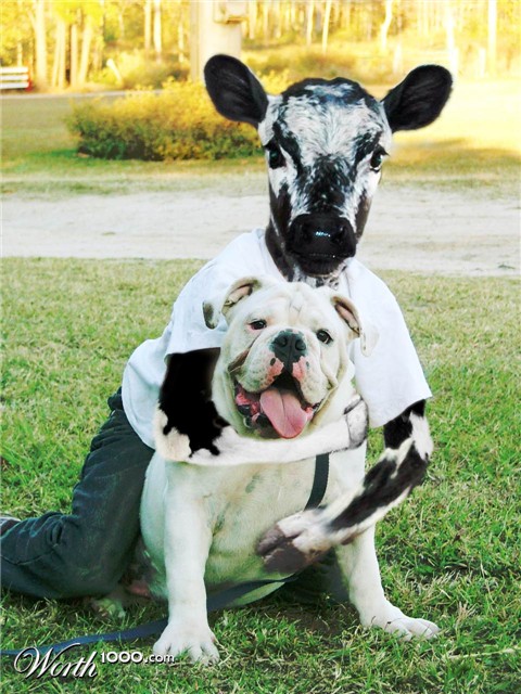 Photoshop Design by moovet