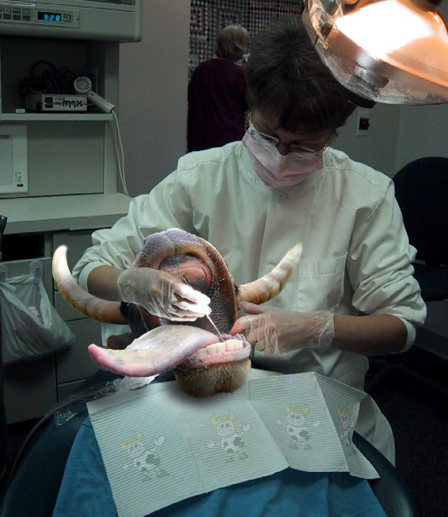 Diseño de Photoshop por raverson12 para DesignCrowd (Community Contests) | Diseño #9002598