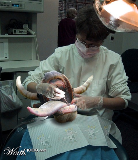 Photoshop Design by raverson12