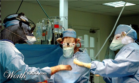 Photoshop Design by lakmus