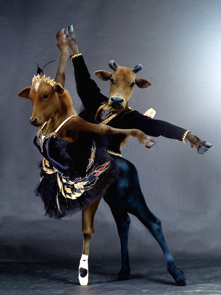 Photoshop Design by DutchPuh for DesignCrowd (Community Contests) | Design #9002678