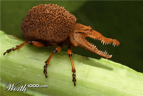 Photoshop Design by kizzle