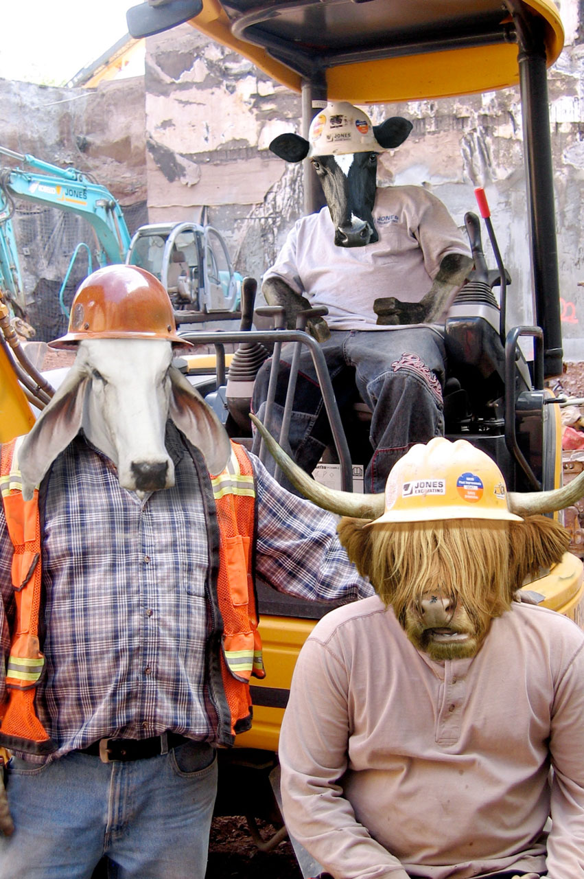 Photoshop-Design von bingobaby für DesignCrowd (Community Contests) | Design #9002641