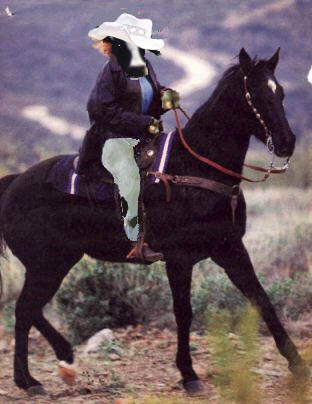 Photoshop Design by PeterAAAWelch for DesignCrowd (Community Contests) | Design #9002696