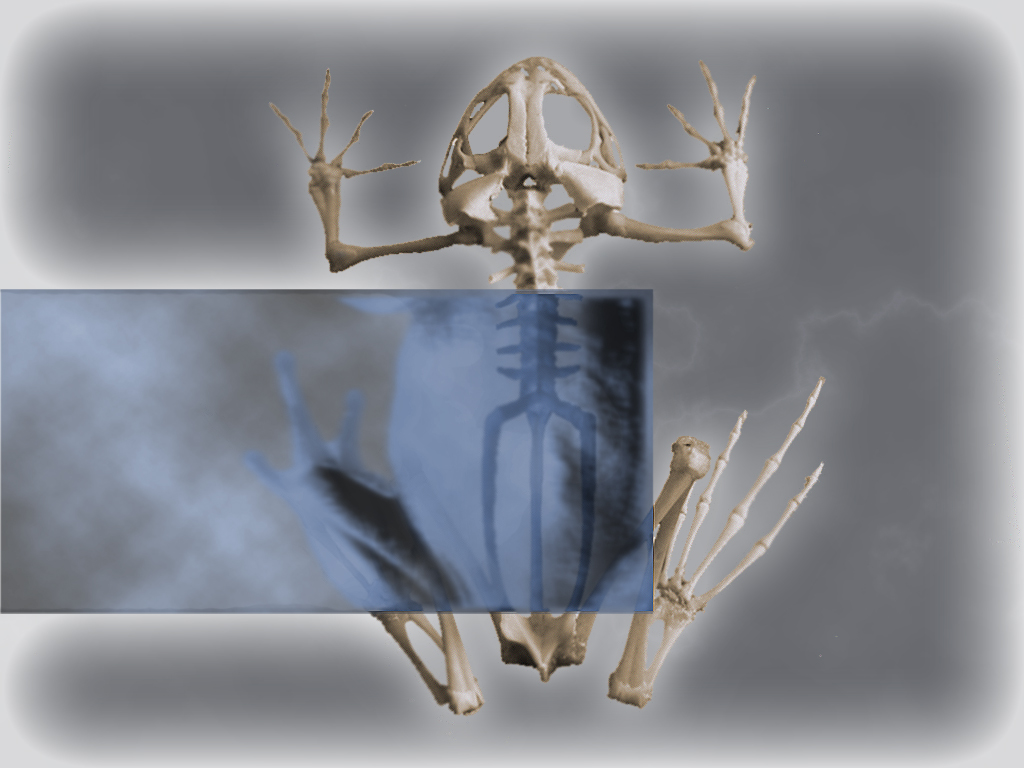 Photoshop Design by BoomMachine for DesignCrowd (Community Contests) | Design #9001539