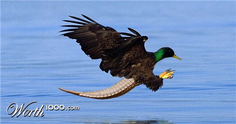 Photoshop Design by PeterAAAWelch