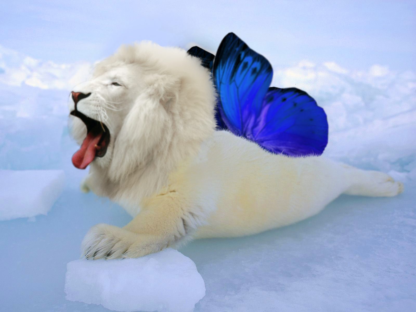 Design Photoshop par AnorexiaNervosa pour DesignCrowd (Community Contests) | Design #9004385