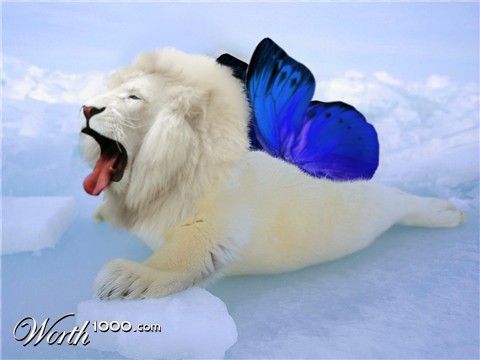 Photoshop Design by AnorexiaNervosa