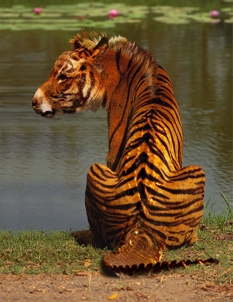 Photoshop Design by PeaseGirl for DesignCrowd (Community Contests) | Design #9004379