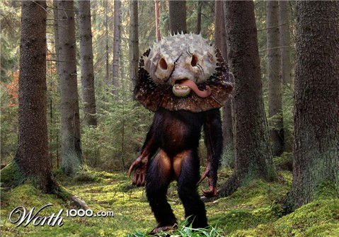 Photoshop Design by rastafaya