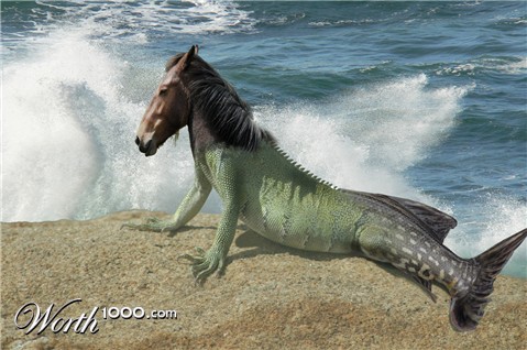 Photoshop Design by Qofcheez