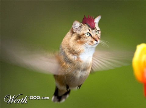 Photoshop Design by armiiin