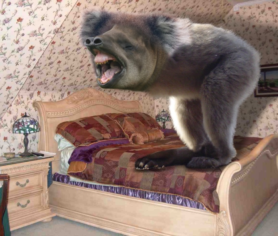 Photoshop-Design von Fishwife für DesignCrowd (Community Contests) | Design #9004361