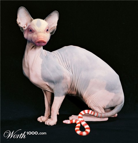 Photoshop Design by Jimworld