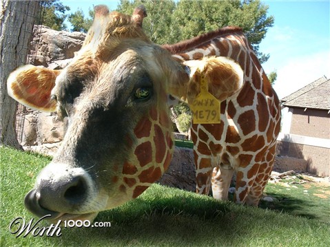 Photoshop Design by bellurius