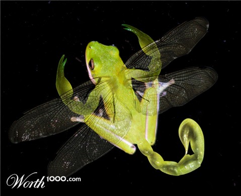 Photoshop Design by LooneyD