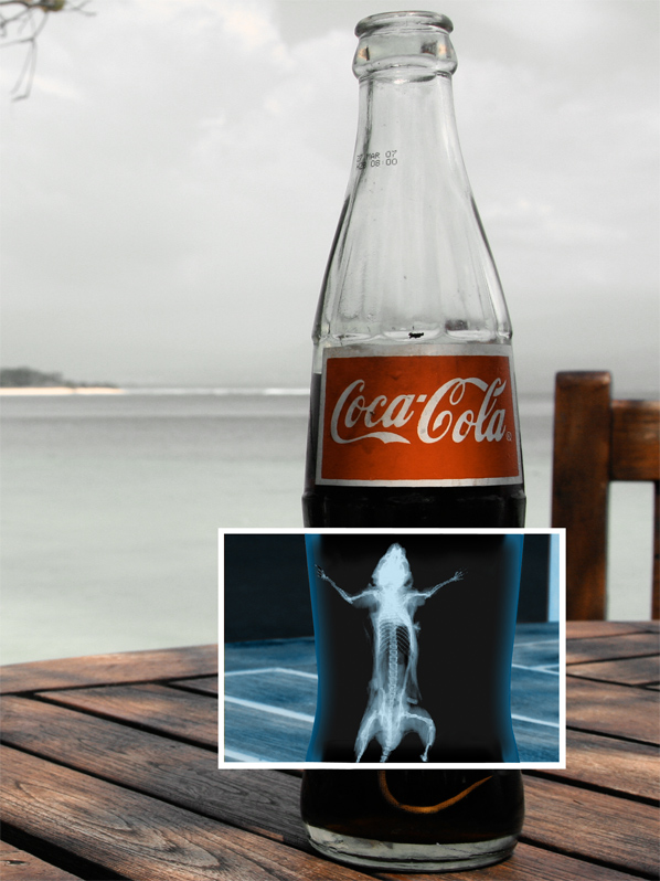 Photoshop Design by melian1224 for DesignCrowd (Community Contests) | Design #9001561