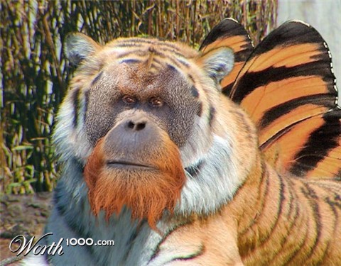 Photoshop Design by ViggeMayn