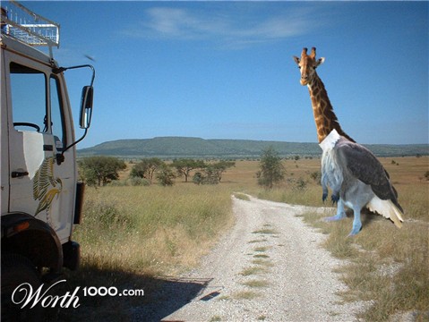 Photoshop Design by donniewiko