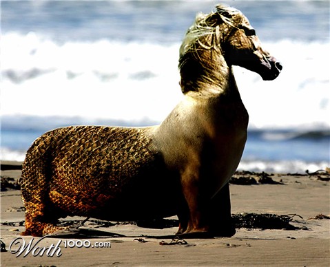 Photoshop Design by bacarrat