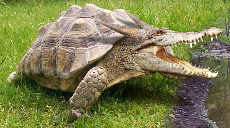 Design Photoshop par lordgilamesh pour DesignCrowd (Community Contests) | Design #9004460