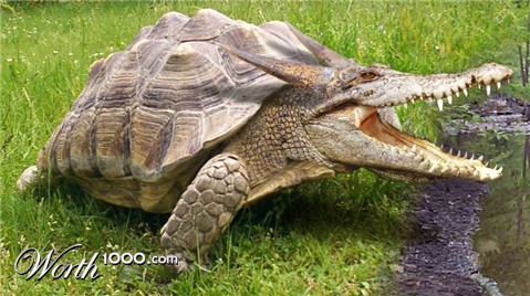 Photoshop Design by lordgilamesh