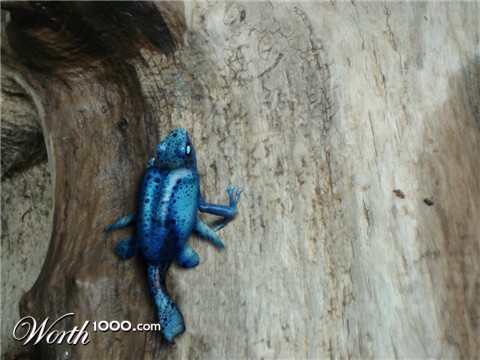 Photoshop Design by stellio