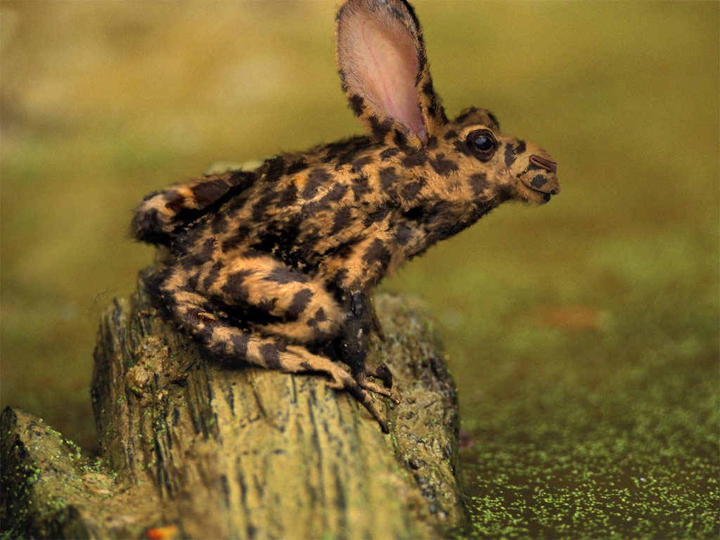 Photoshop-Design von ManoleJr für DesignCrowd (Community Contests) | Design #9004449