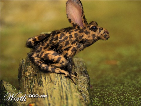 Photoshop Design by ManoleJr