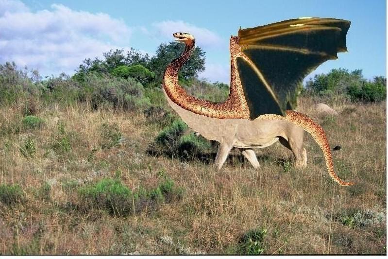 Photoshop-Design von pterasaur für DesignCrowd (Community Contests) | Design #9004455